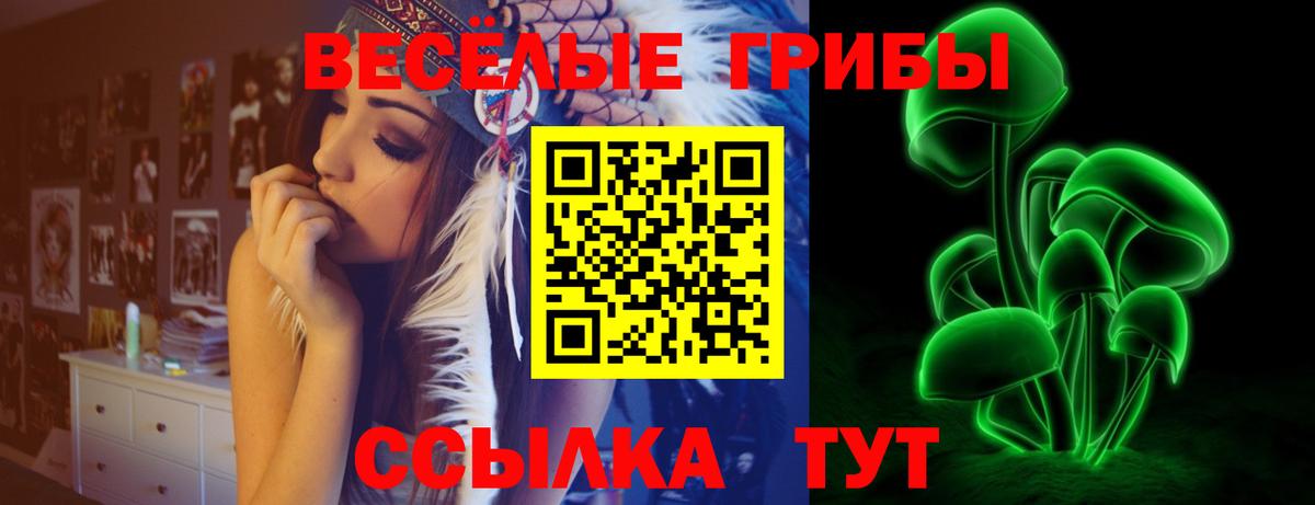 Ейск  Галлюциногенные грибы прущие грибы  Вход с VPN 