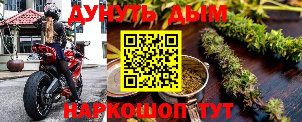 Ейск  Конопля сатива  Канабис Amnesia  Вход с VPN  Марихуана Amnesia  Каннабис сатива 